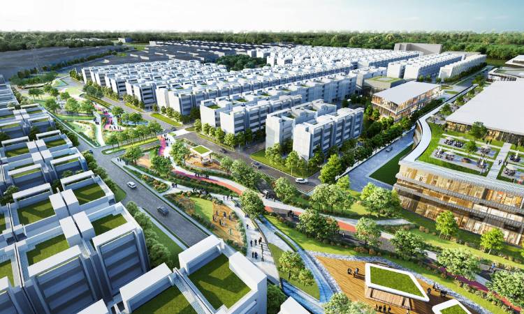 Signature Global Daxin Vistas