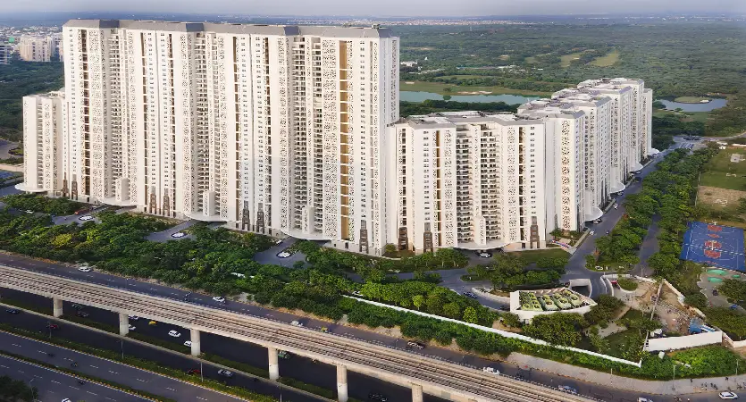 DLF The Camellias